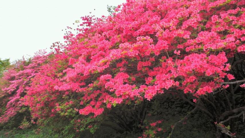 Kadoya Ryokan 나스시오바라 외부 사진