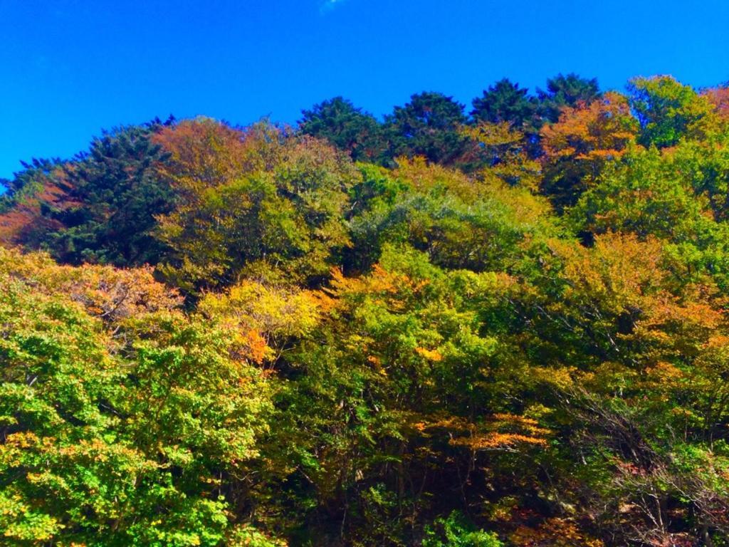 Kadoya Ryokan 나스시오바라 외부 사진