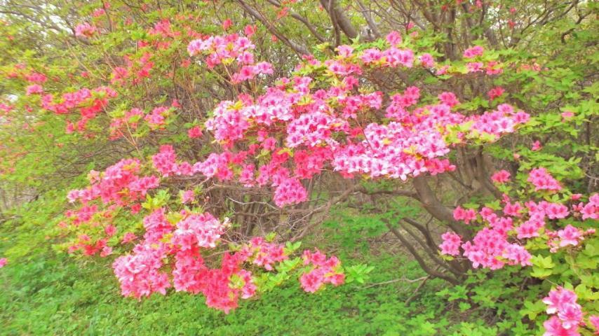 Kadoya Ryokan 나스시오바라 외부 사진